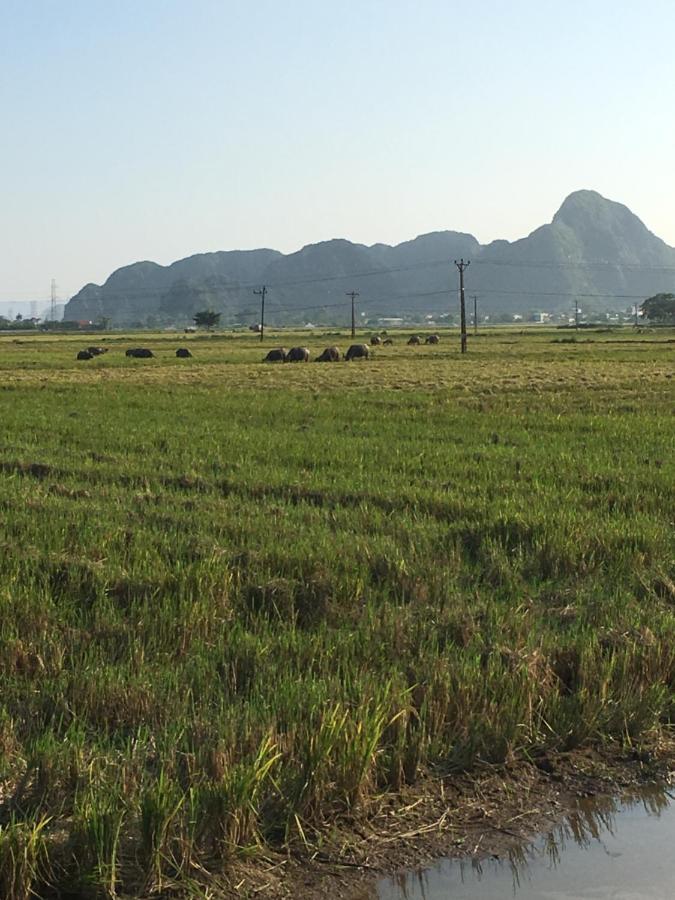 Limestone View Homestay Ninh Binh Luaran gambar