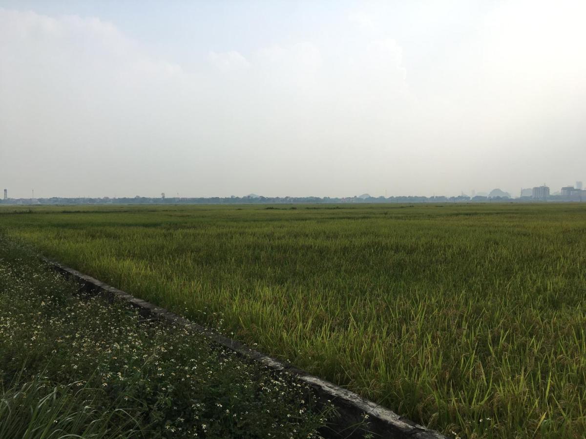 Limestone View Homestay Ninh Binh Luaran gambar